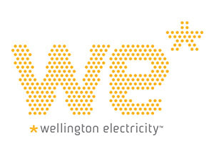 Wellington Electricity